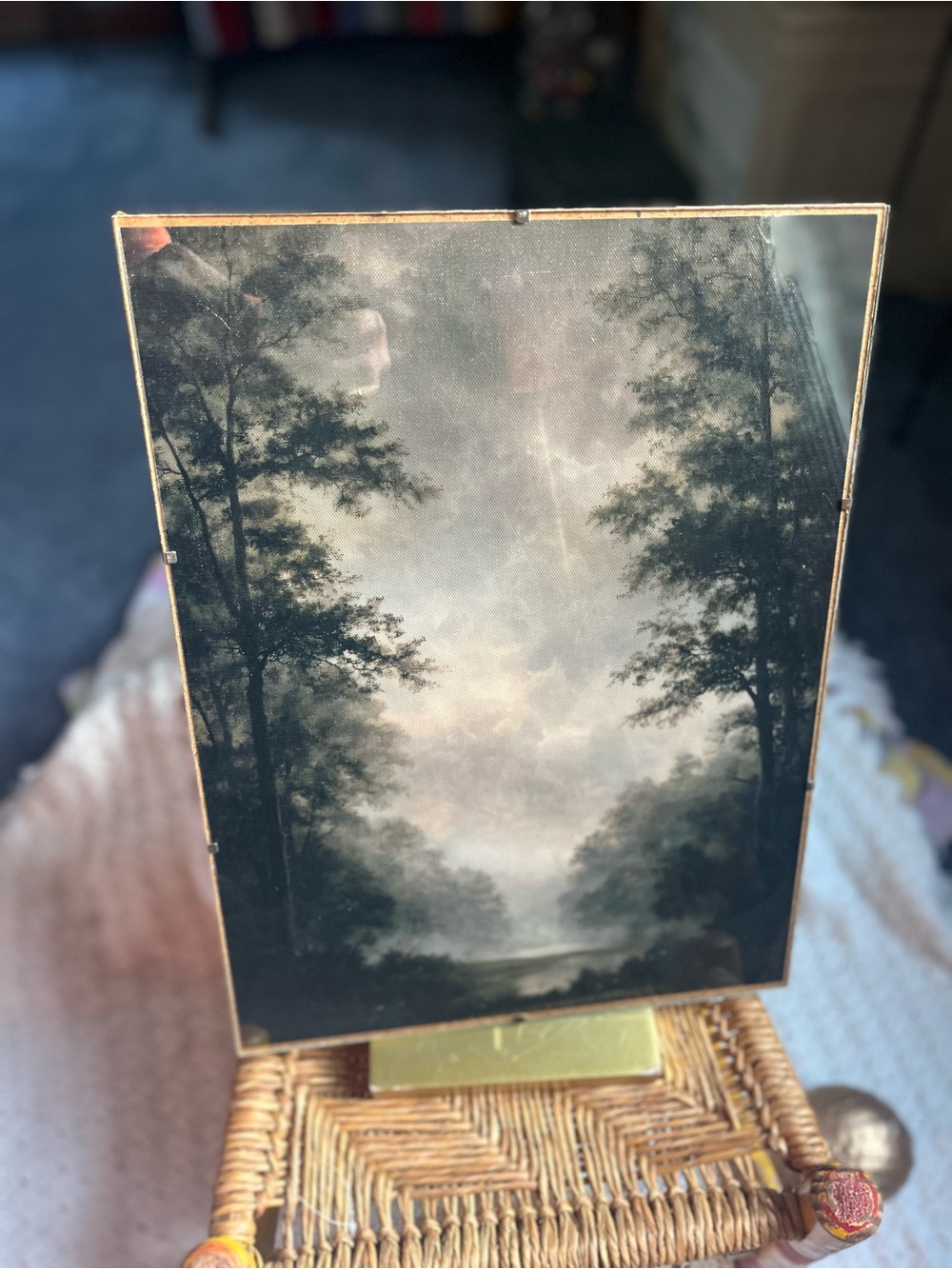 Misty Woodland Canvas Art Print in Glass Frameless Frame